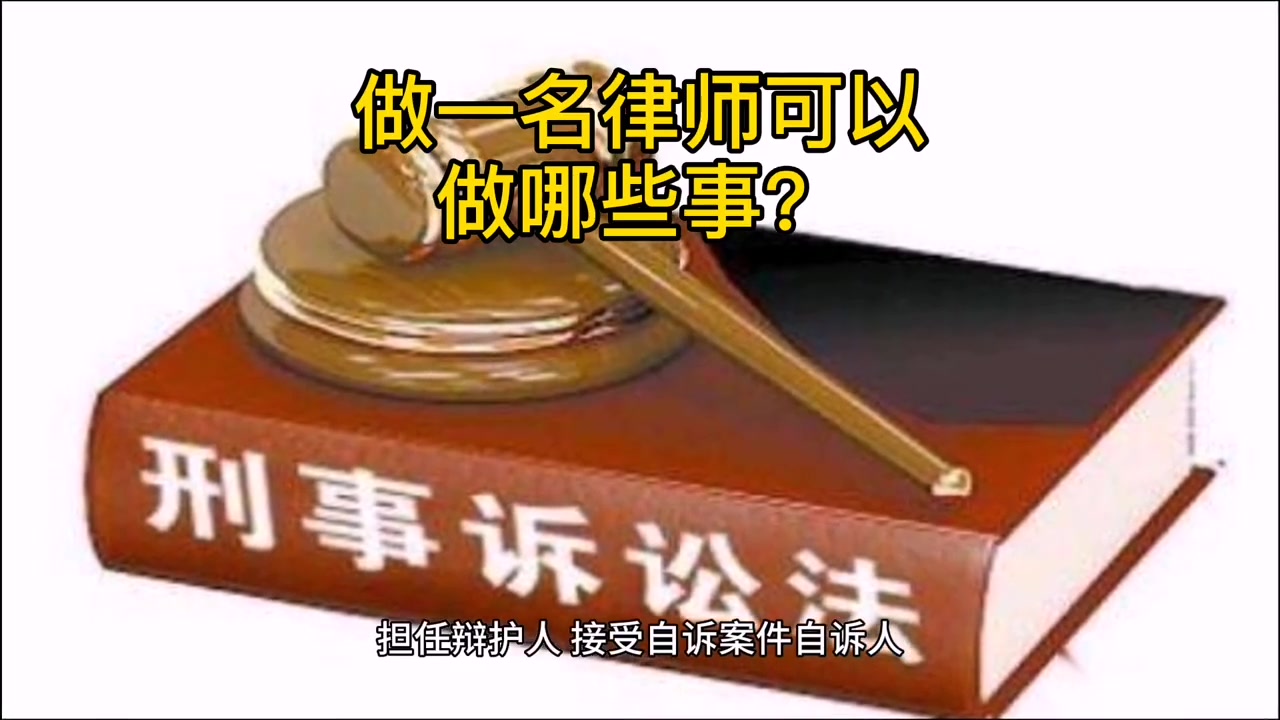 律师、法律与常识 一份全面法律咨询指南