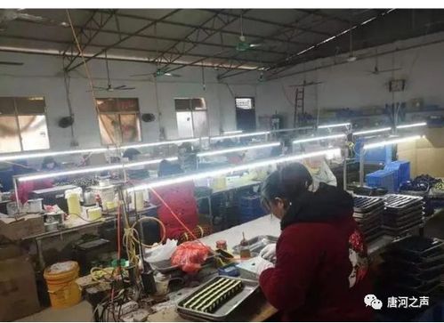 唐河县少拜寺镇依法取缔无证电子厂，确保安全生产与民生福祉